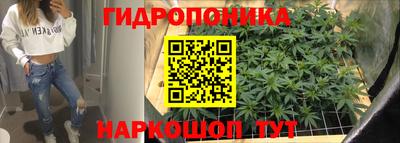 спиды Можга